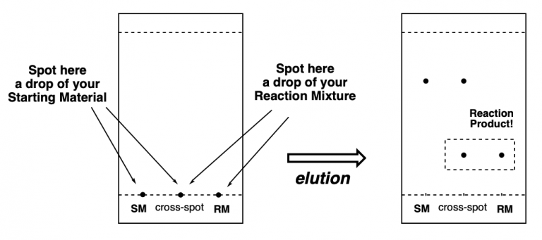 Thin Layer Chromatography A Complete Guide To TLC