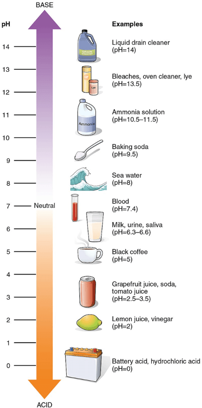 acid-base pH scale is one of the most basic chemistry concepts