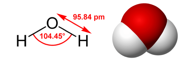 model for a water molecule