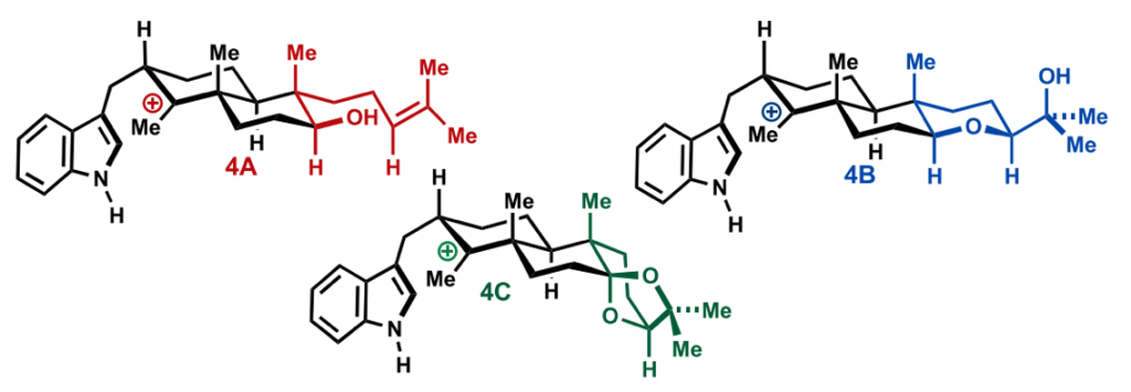 newhouse total synthesis computer-assisted