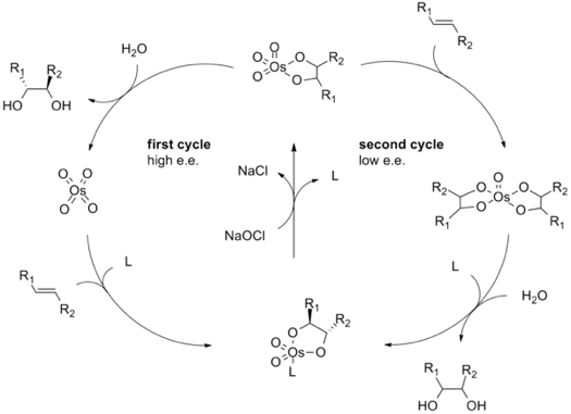 Osmium catalyzed oxidations