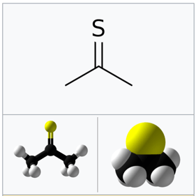 thioacetone smellies chemical in the world