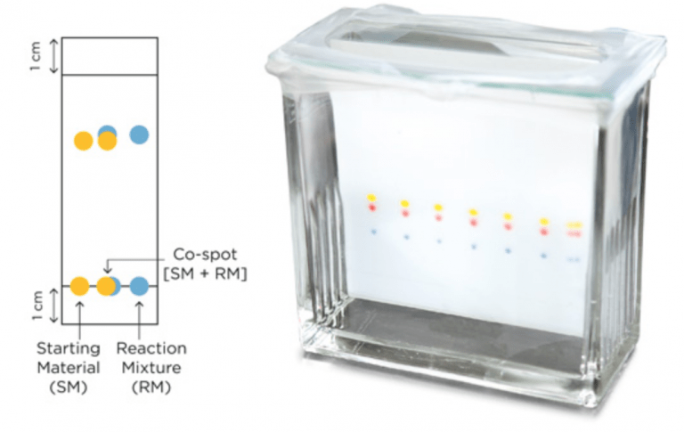 Thin Layer Chromatography: A Complete Guide To TLC